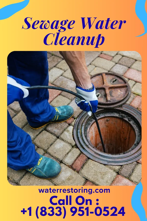 Sewage Water Cleanup in Hunnewell, MO